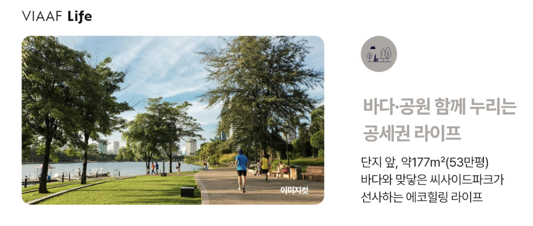 VIAAF Life 프리미엄