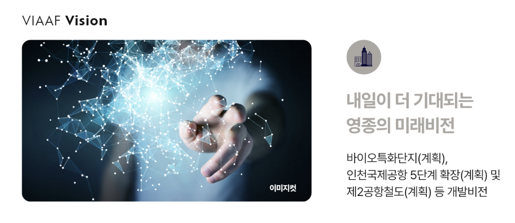 VIAAF Vision 프리미엄