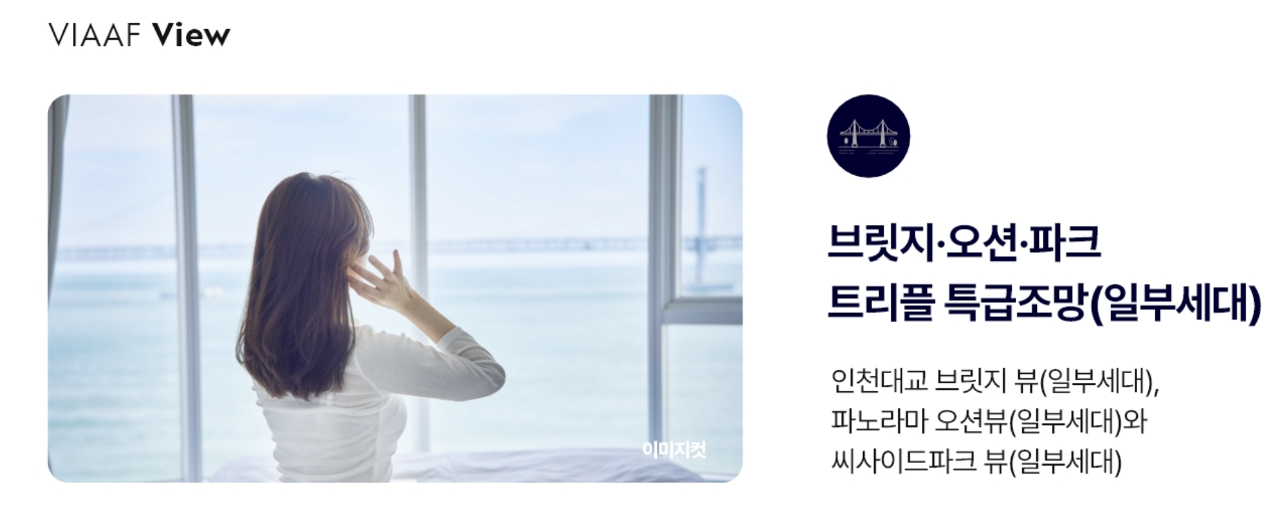 VIAAF View 프리미엄